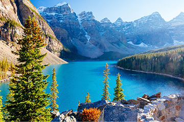 immigration-2 immigration-2